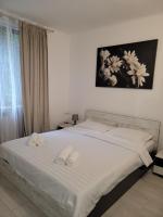 Ultracentral Apartment Rebeca - vis-à-vis Primăria Craiova - B&B Craiova
