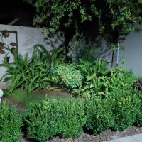 Vita Nova - B&B Bloemfontein