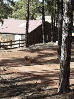 Grand Canyon Cottage at Historic Wrigley Ranch with Horseback Riding & Hiking - Chambres d'hôtes Parks