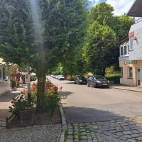 Apartament Kominkowy przy Parku - B&B Połczyn-Zdrój