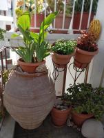 Myrto's traditional house - B&B Skýros