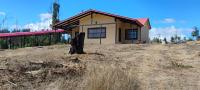 Refugio Pet-Friendly a 45 minutos de Concepción - B&B Santa Juana