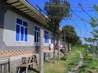 Ali guest house Samarkand - B&B Aman-Kutan