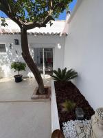 Casa patio limon - B&B Pedreguer