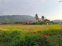 Nur Kasih Homestay 1-Gunung Jerai - B&B Guar Chempedak