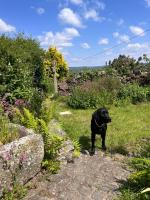 Dairy Cottage - B&B Hennock