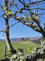 Bettys Cottage - Log burner and EV Charger - Chambres d'hôtes Kingussie