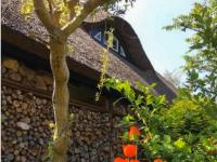 Künstlerhaus - B&B Ribnitz-Damgarten