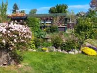 Ferienwohnung Gänseblümchen - Bed and Breakfast Ribnitz-Damgarten