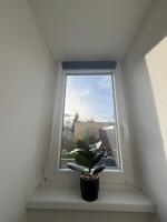 Apartment Dvory free Parking 1 - Ferienwohnung Karlsbad