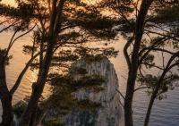 Villa Grazia - B&B Capri city