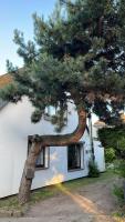 Ostseebad Göhren 8-Personen-Ferienhaus mit beh WPool - Ferienwohnung Ostseebad Göhren