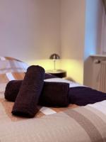 T3 spacieux - Centre et Technhom - B&B Belfort