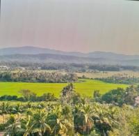 Wonderville Villa - Ferienwohnung Cuncolim