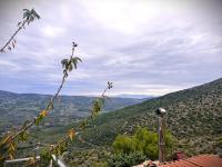 Dimora Civita - B&B Castelcivita