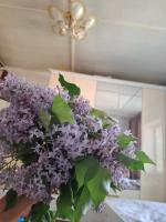 Cozy Stay Emir - B&B Kazarman