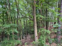 Chalet dans les bois avec bain nordique et cinéma - B&B Genappe