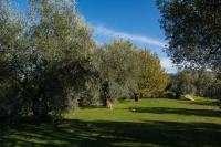 La Sassaia - Bed and Breakfast Carmignano