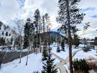 Soda Spring II 1924 by SummitCove Lodging in Colorado - Ferienwohnung Keystone