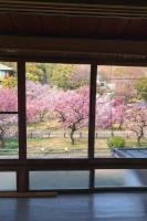 Kura Stay 梅林 - Ferienwohnung Gifu