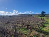 Faure Wine Estate,The Lighthouse - Ferienwohnung Greyton