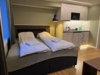 Brand new mini apartment with kitchen - B&B Åmot