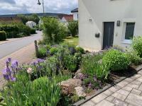 Charmante Wohnung mit eigenem Garten in der Nähe Würzburg - B&B Zellingen
