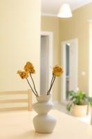 SeaRise Apartments - Chambres d'hôtes Vlora