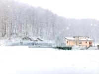Lotus Oasis I Nature Experience - B&B Torre