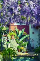 Residence Chalet degli Ulivi - B&B
