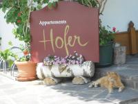 Appartments Hofer - B&B Stumm