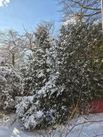 Entzückendes Studio in historischer Villa - B&B Aschau