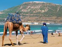 golden secret - B&B Agadir