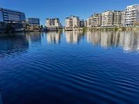 Tranquil Executive Apartment with Lake Views in Cape Town - B&B Cape Town
