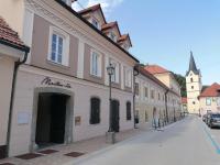 Mestna Vila Krško - B&B Krško