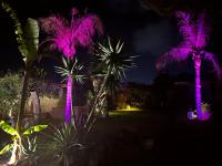 Dimora Tammaro - B&B Favignana