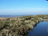 Charmant Studio - B&B Le Teich