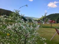 Yaremche Potik Guest House - B&B Yaremche