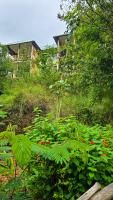 Bwindi Neckview Lodge - B&B Buhoma