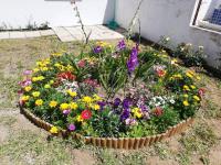 Atalaia Garden House - B&B Giz