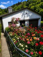 Ferienhaus Terrassenblick Altstadt Monschau - B&B Monschau