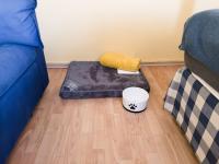 Chambre Quadruple avec Salle de Bains Privative