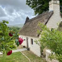 Fairytale Welsh thatched cottage with hot tub - VEGETARIAN - B&B Pencarreg