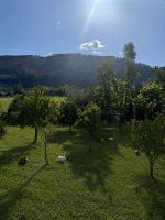 Elis Villa Berat - B&B Berat