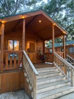 Home Cozy Cabin Near Casino & Busch Gardens - B&B Thonotosassa
