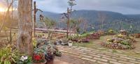 Đỉnh Phong Homestay Săn Mây Măng Đen - B&B Chương Nghĩa