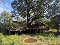 Ndzhaka Tented Camp - Chambres d'hôtes Manyeleti Game reserve