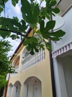 Art room JASMINA with sea view - Bikers and pets are welcome - Bed and Breakfast Starigrad