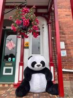 The Robin Hill - B&B Torquay