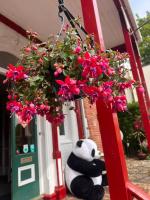 The Robin Hill - B&B Torquay